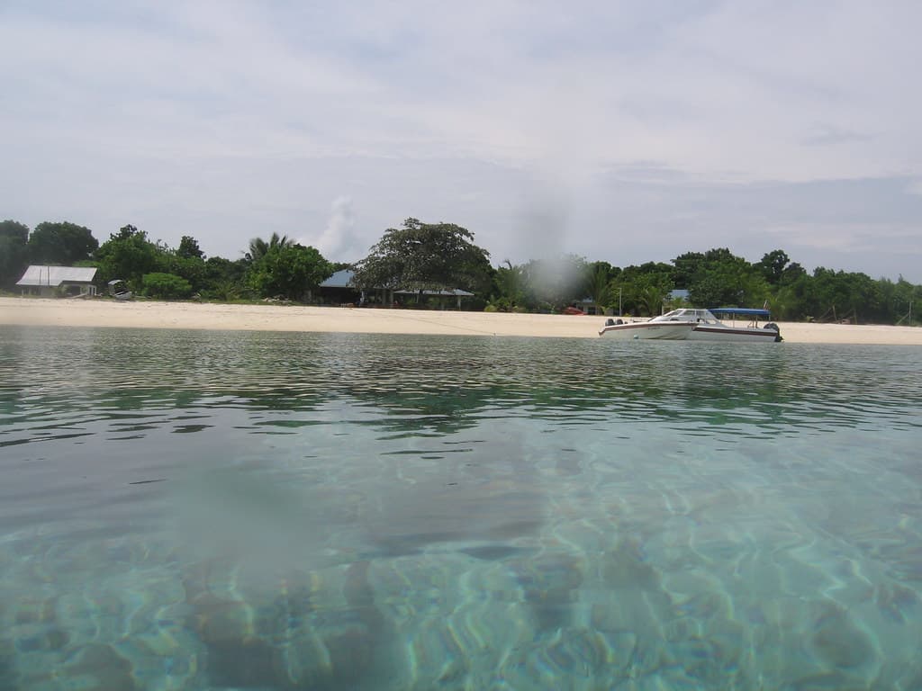 Reef and Beach
