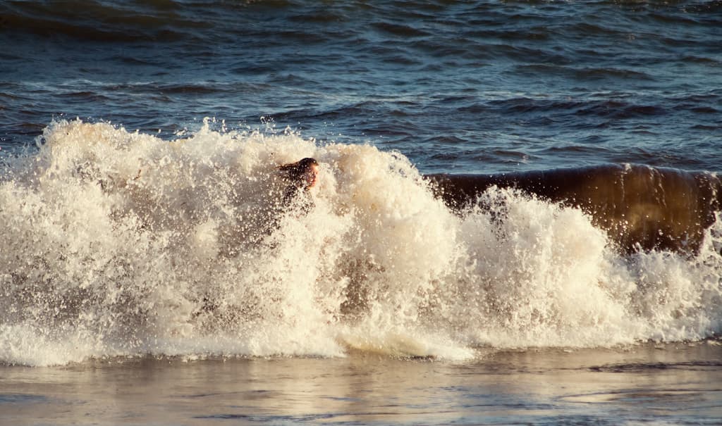 Surfing Second Beach Pre-Irene