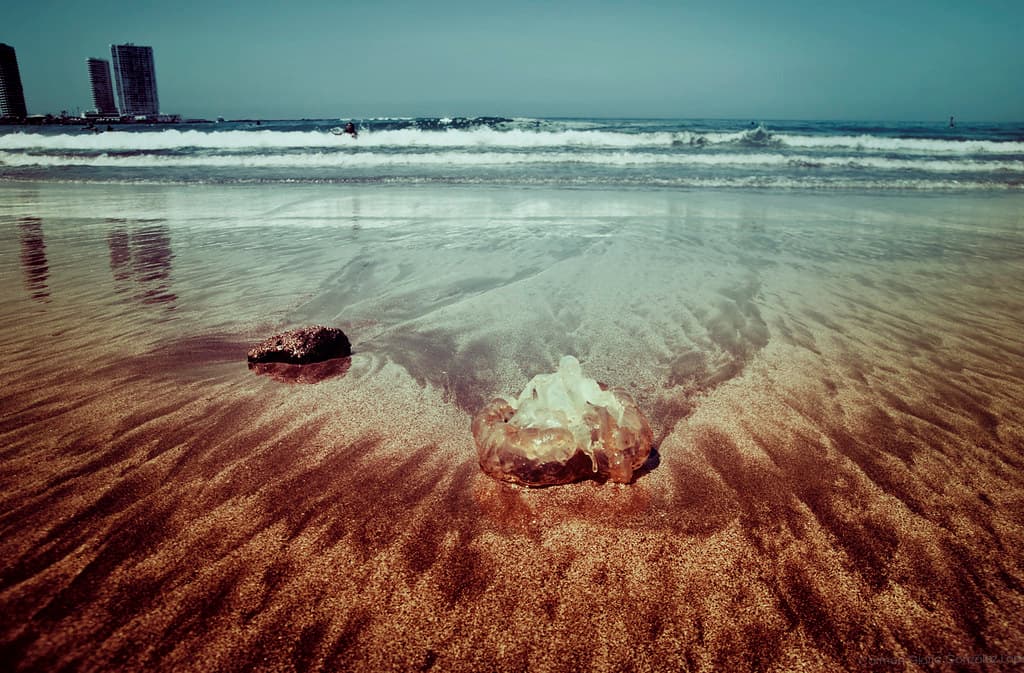 Playa Huayquique view 2