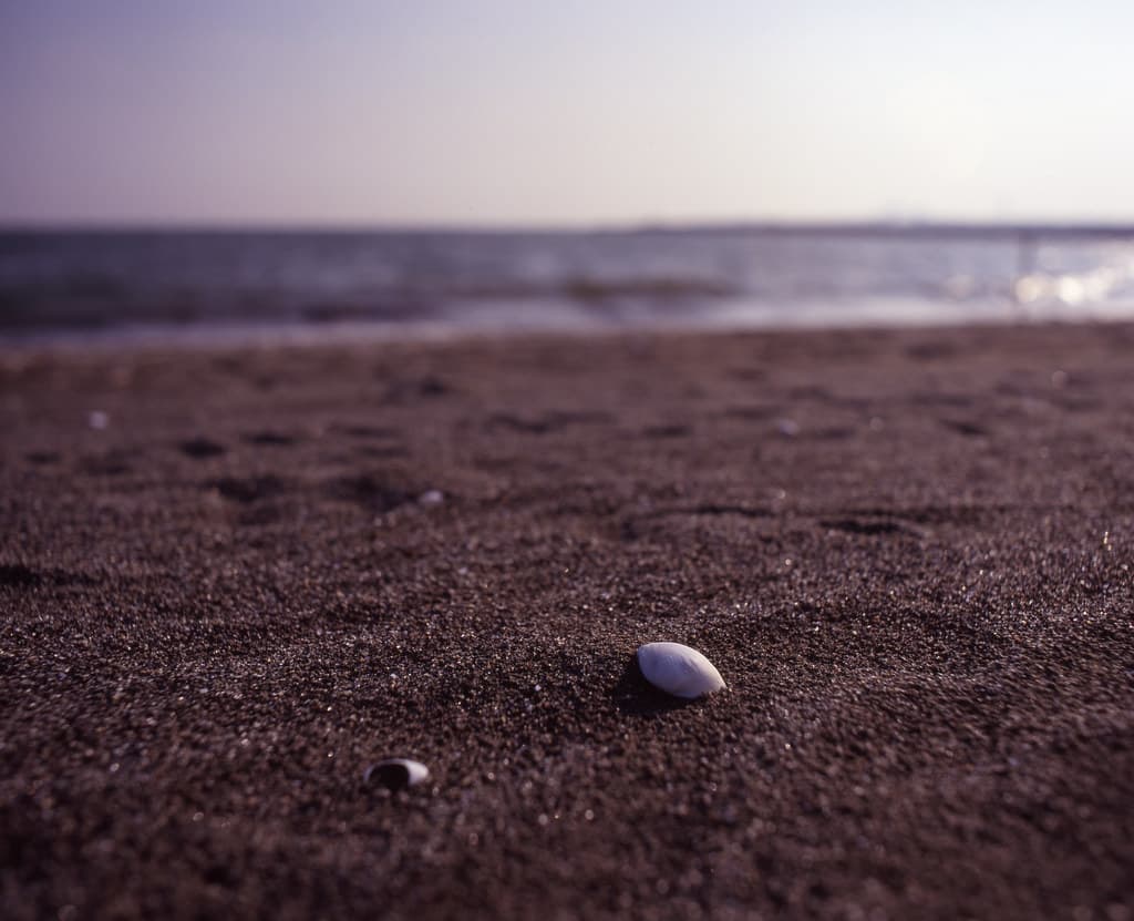 Hinode Seaside Park Beach view 3