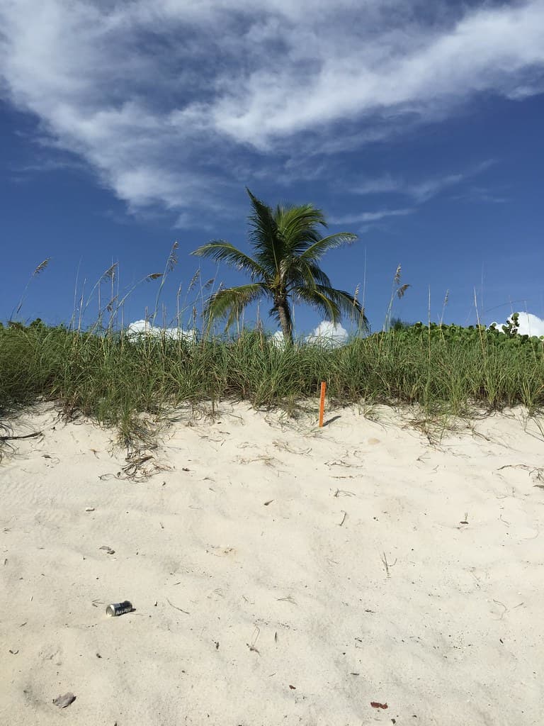 Wendy Park Beach