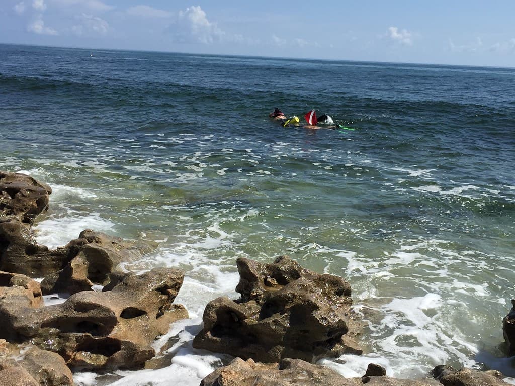 Wendy Park Beach view 2
