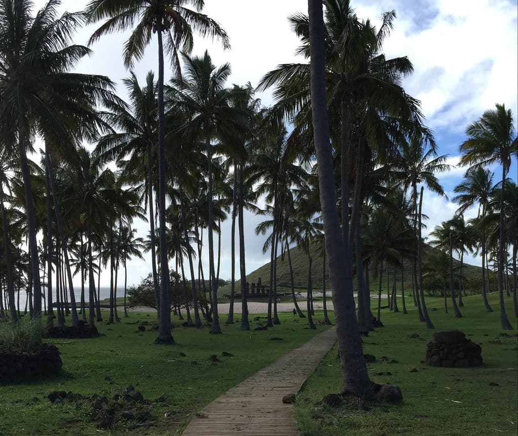 Anchor Point Beach view 2