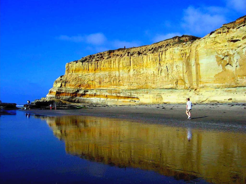Torrey Pines City Beach