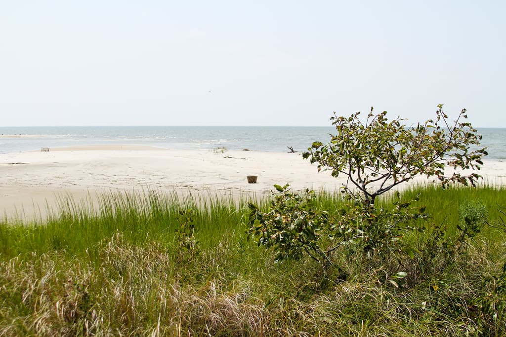Deal Island Beach