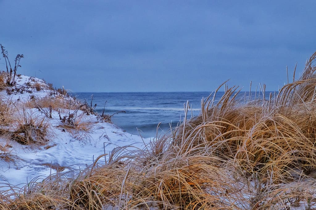 Plum Island Beach view 2
