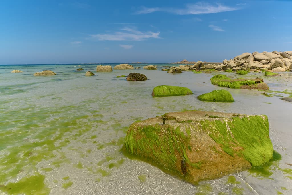 Plage de Trestel