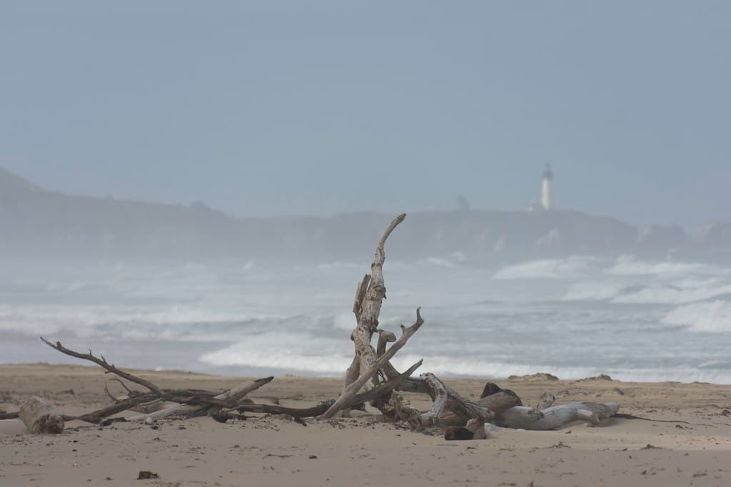 Newport Beach view 2