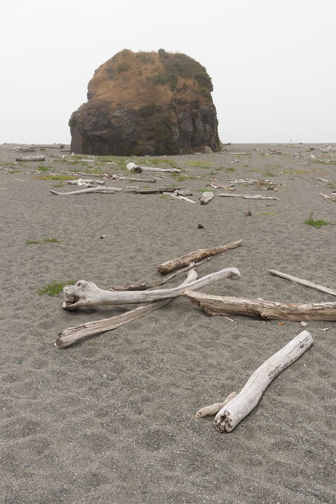 Driftwood Beach