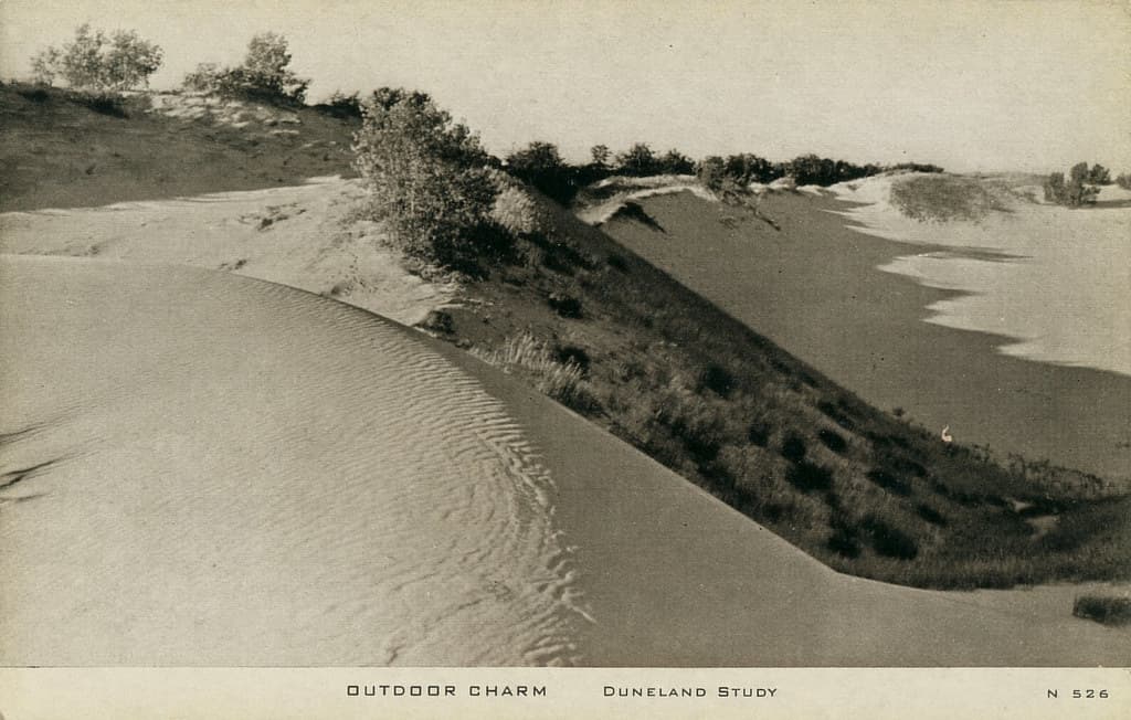 Indiana Dunes State Park Beach view 3