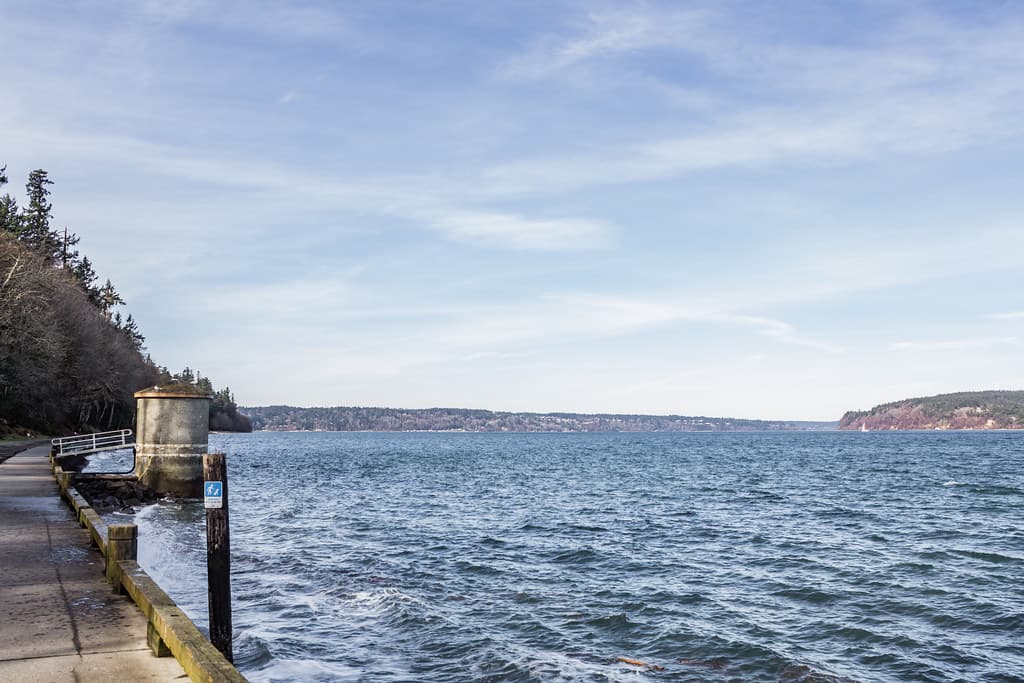 Owen Park Beach view 2
