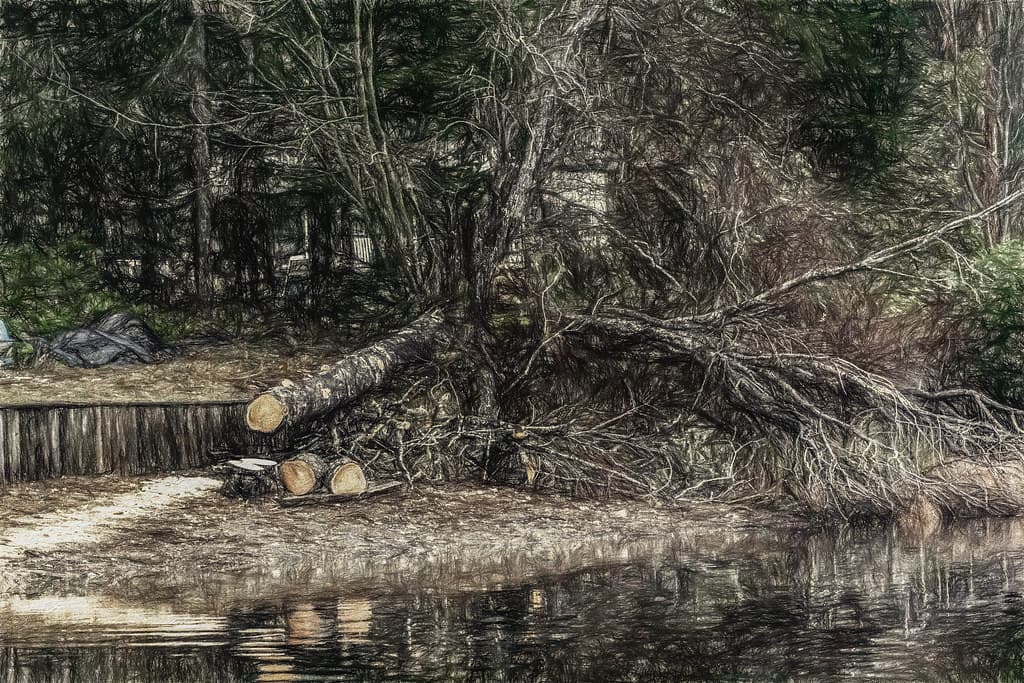 Freshwater Lake Beach