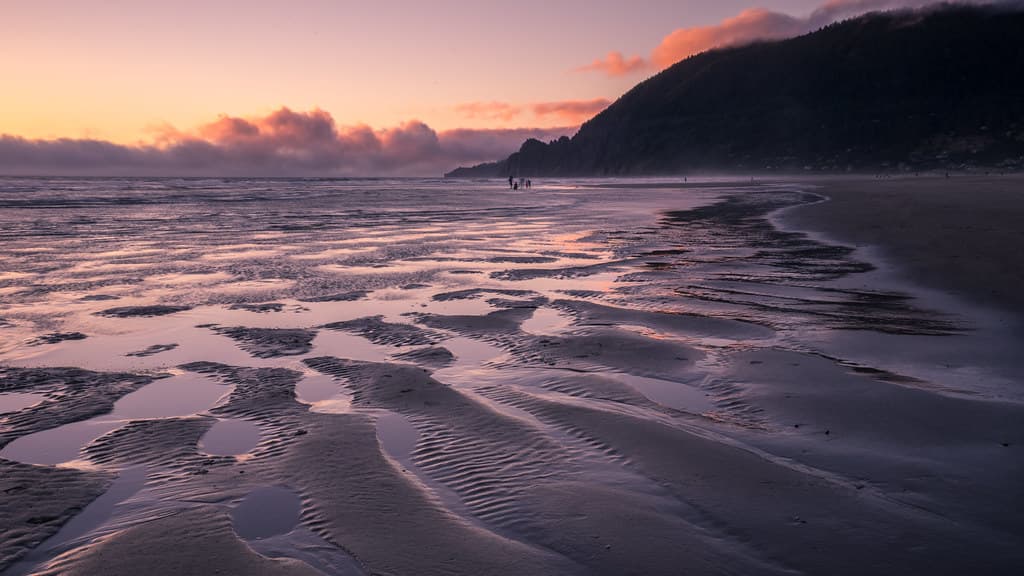 Low tide