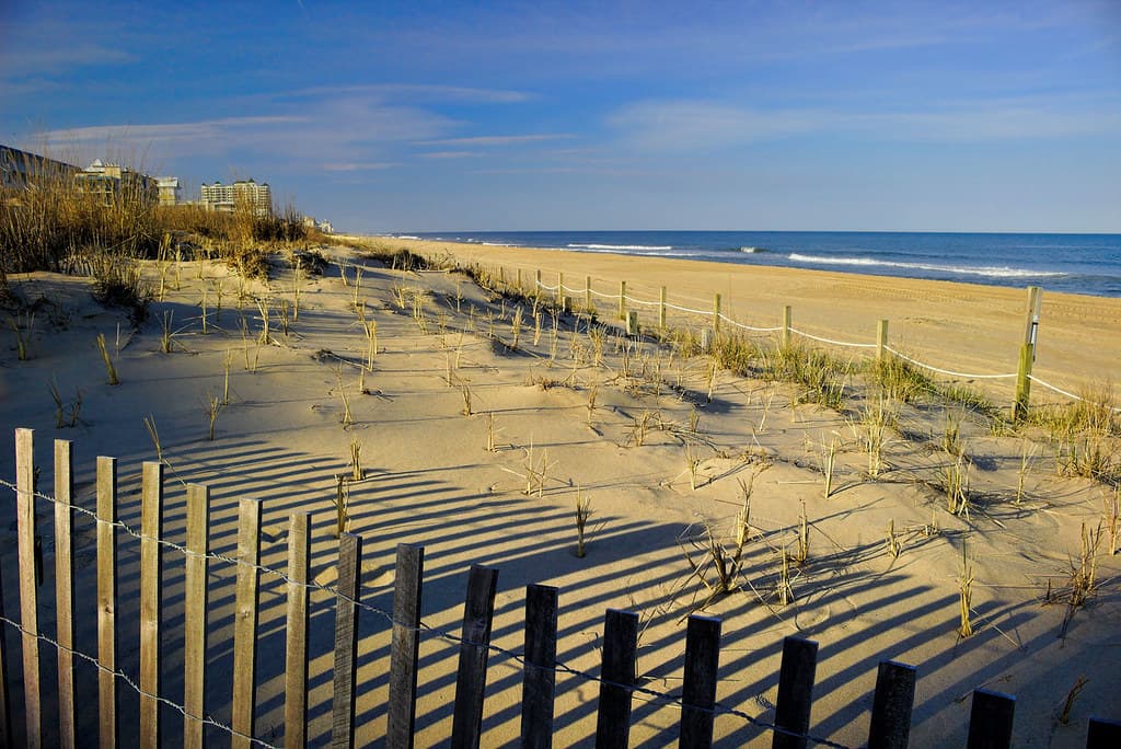 Gold Coast Beach (OCMD) view 3