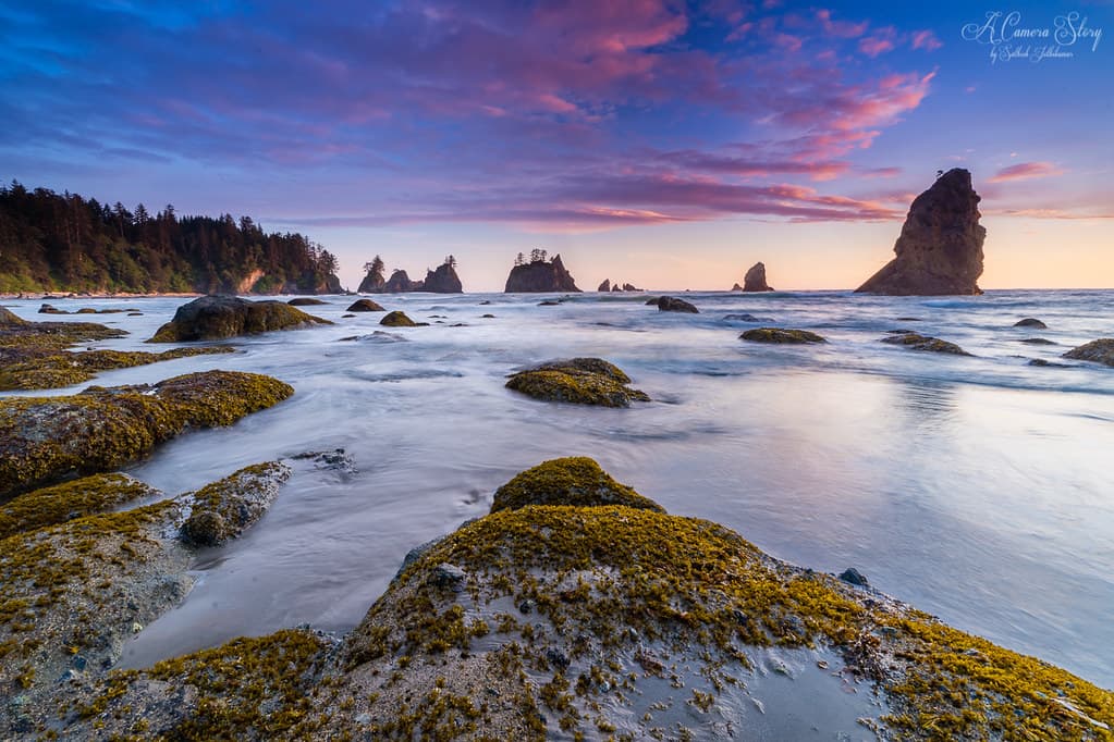 Pine Point Beach
