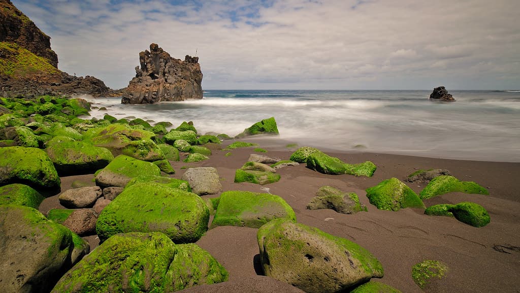 Playa Jardín view 3