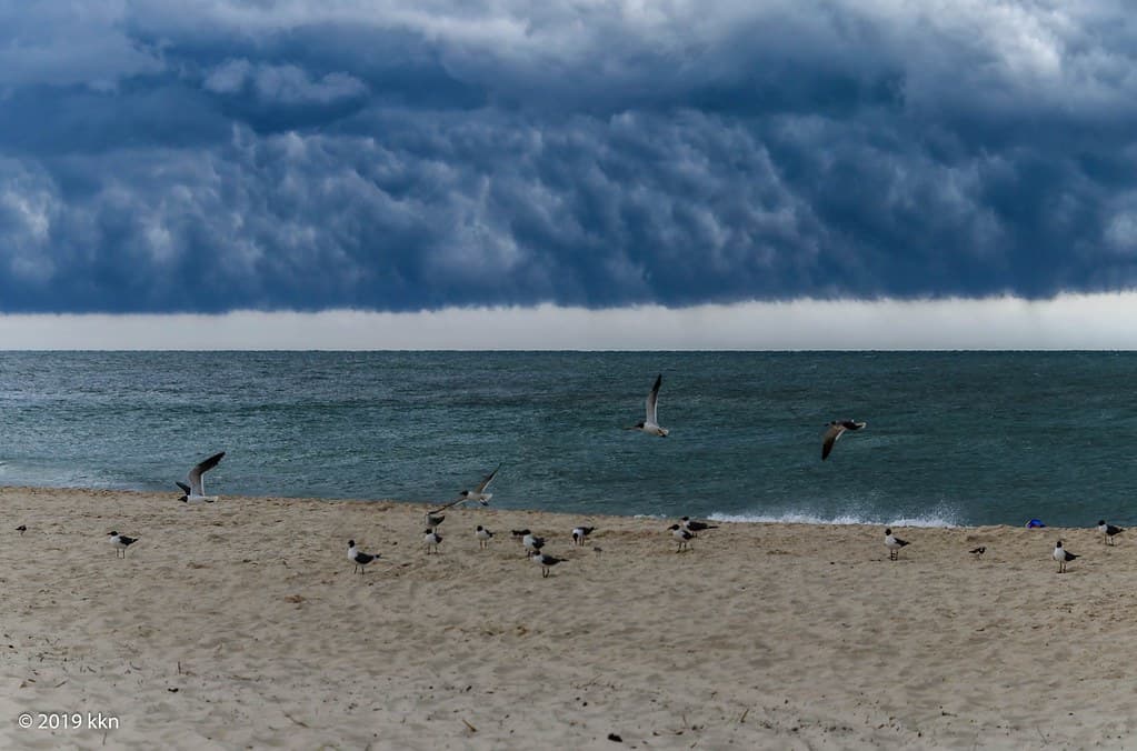 St. George Island Beach view 2