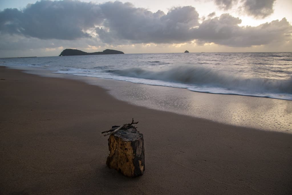 Palm Cove Beach view 3