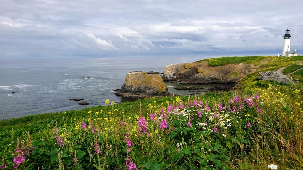 Head of the Meadow Beach view 2