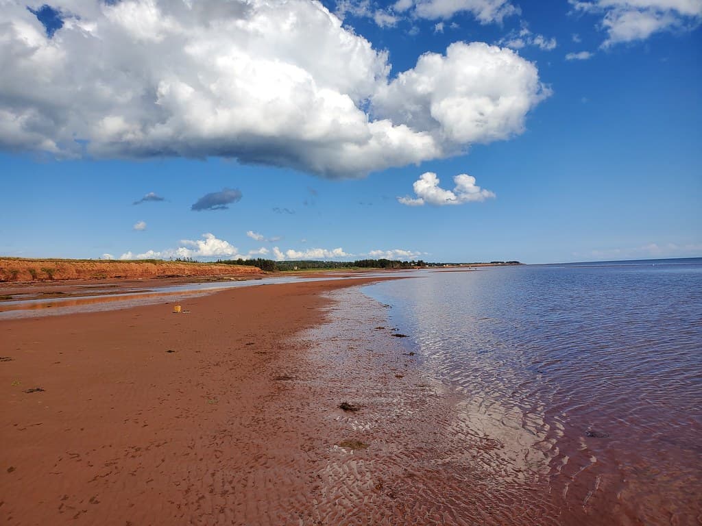 Rice Point Beach
