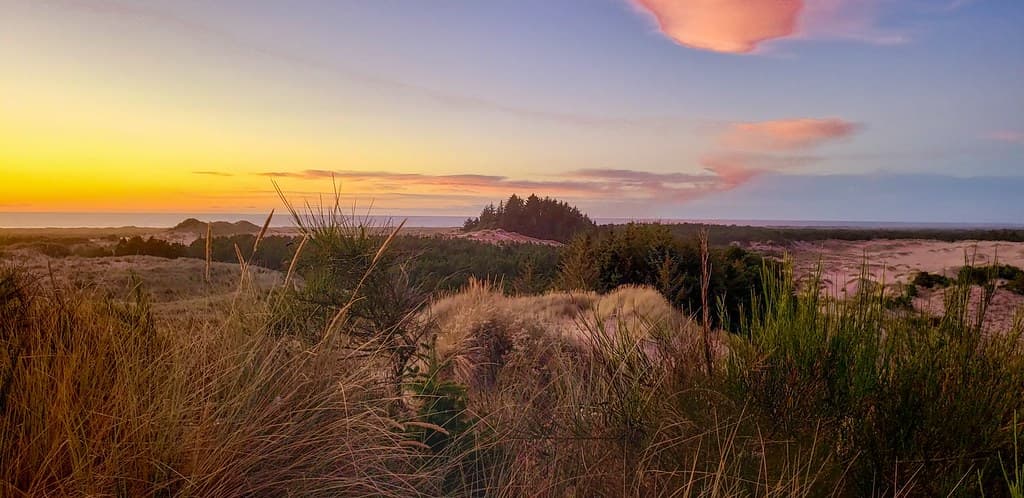 North Spit Beach (Coos Bay)