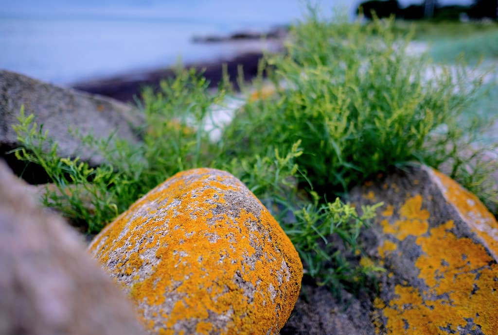 Åkrogen Strand view 2