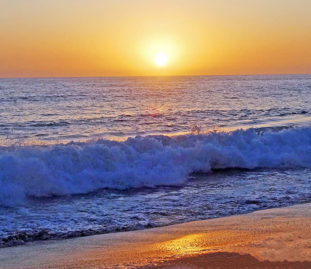 Carlsbad State Beach