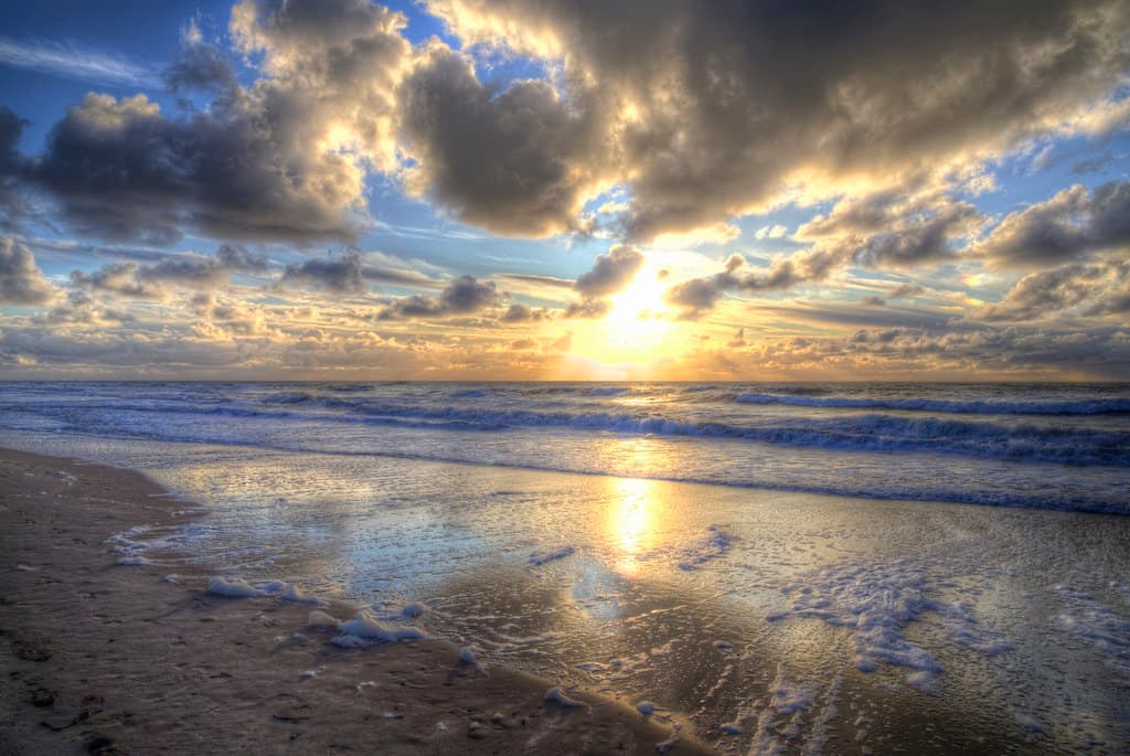 Den Helder Dunes Quiet Beach view 3