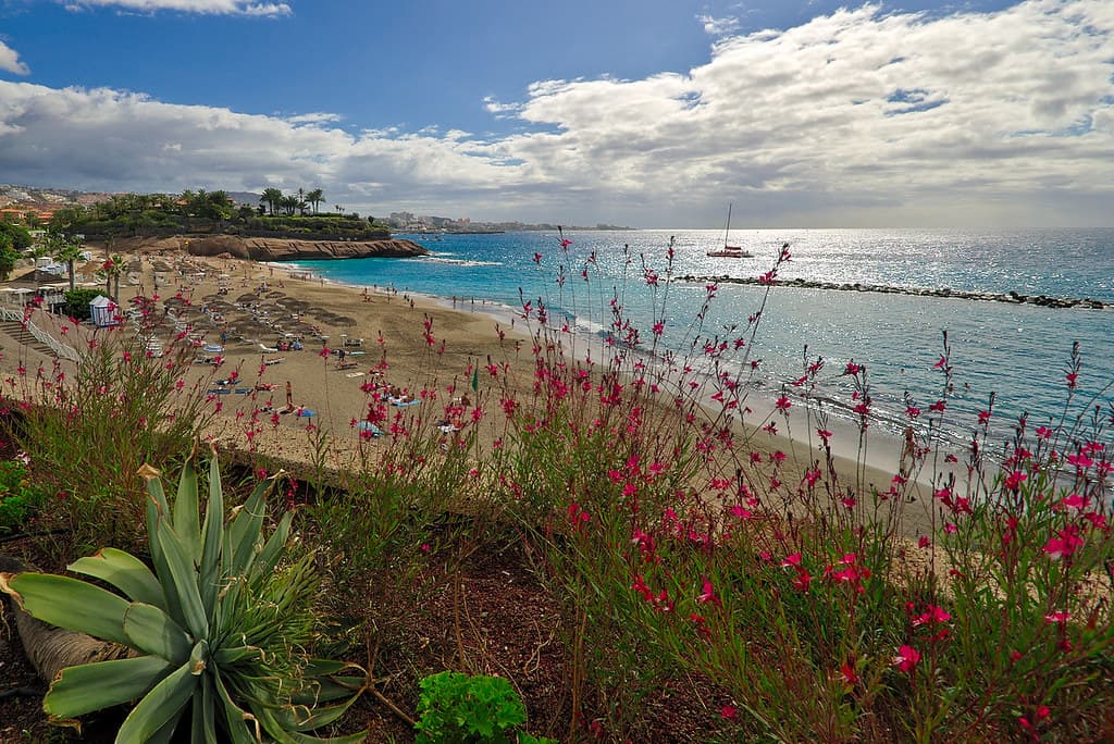 Playa de Fañabé view 2