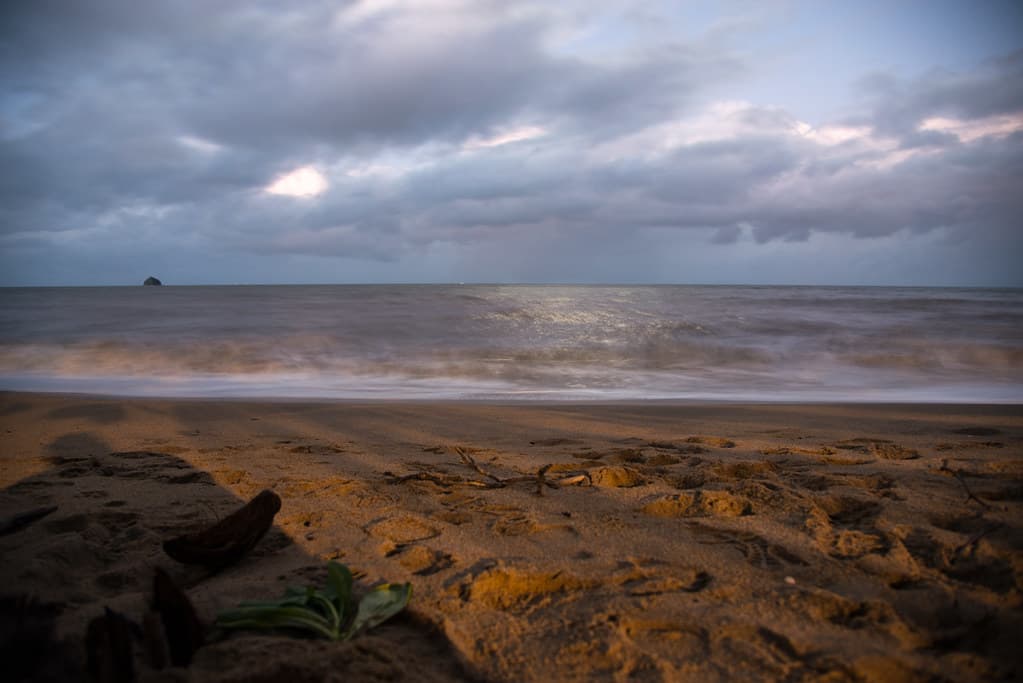 Shark Beach