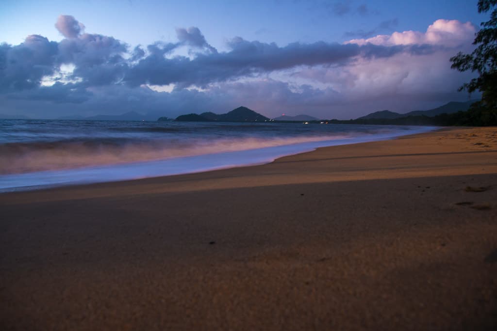 Shark Beach view 2
