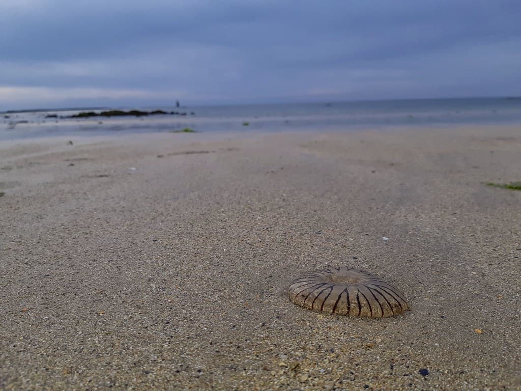 Plage de Jonville view 3
