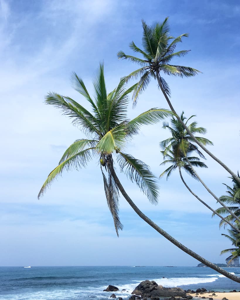 Unawatuna Cove view 2