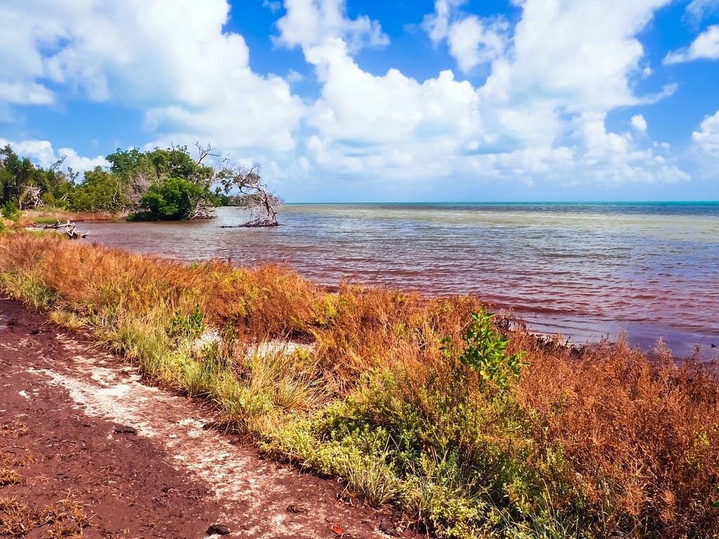 Long Key State Park Beach