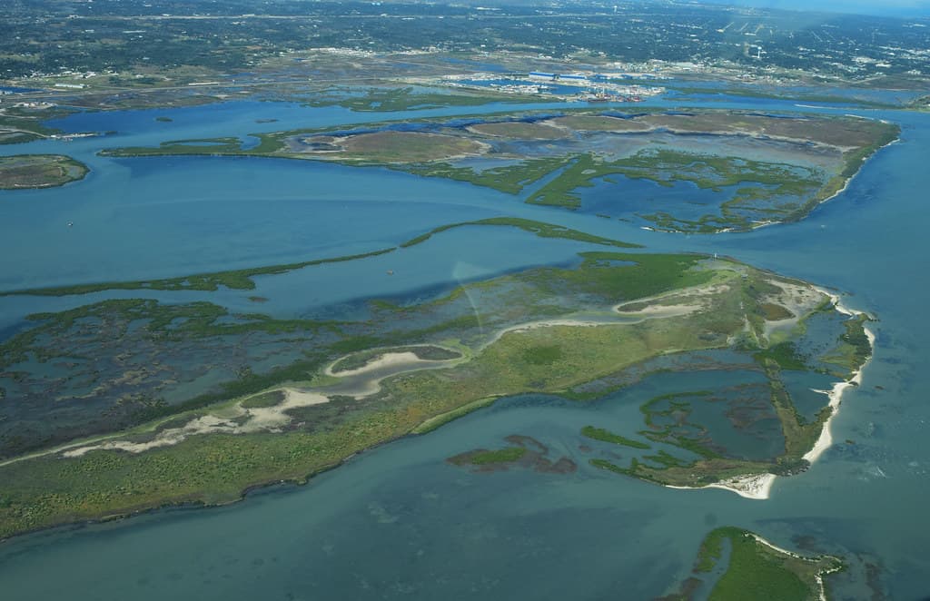 Marsh Island Gulf Beach view 3