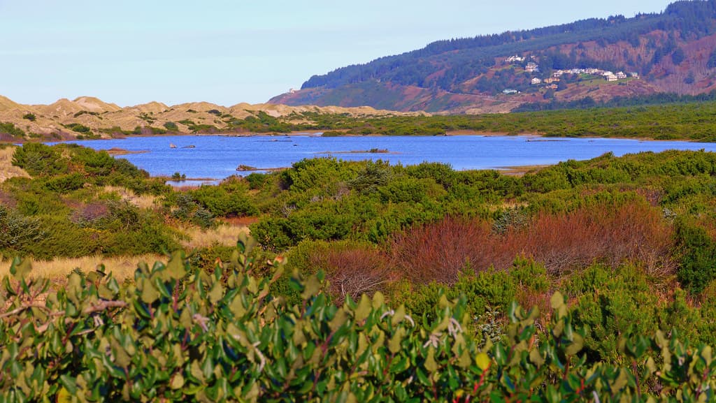 Berry Creek Beach