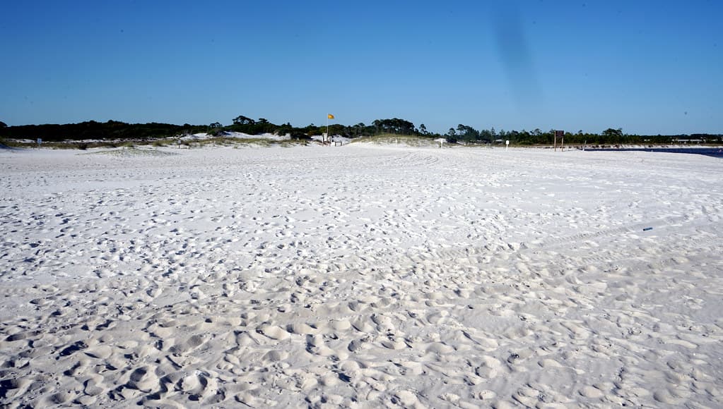 Camp Helen State Park Beach
