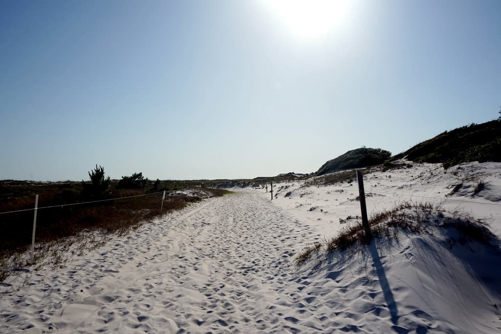 Camp Helen State Park Beach