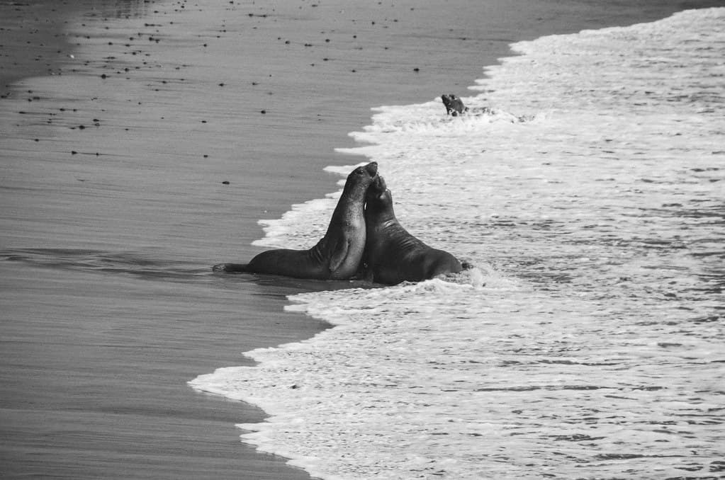 Black Point Beach view 2