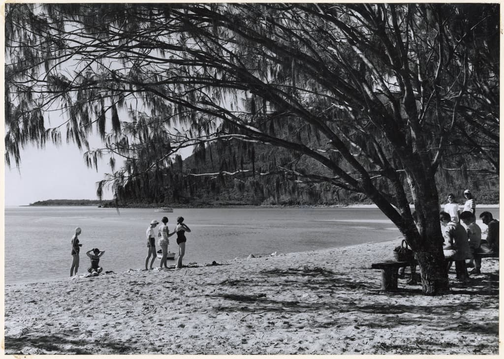 Dunk Island View Beach view 3