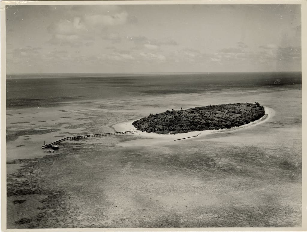Seymour Island South Beach view 3