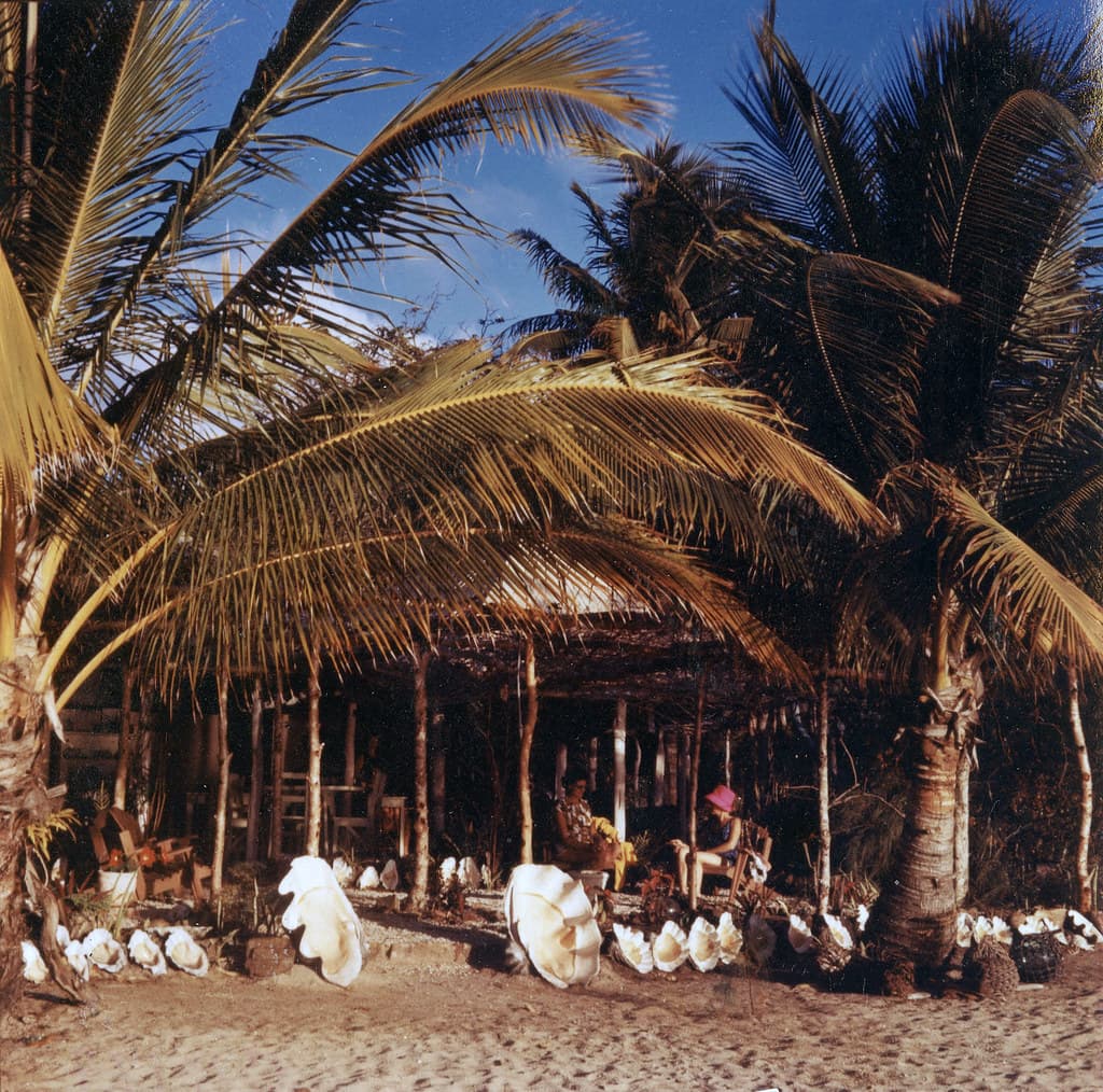 Hinchinbrook Island Beach view 3