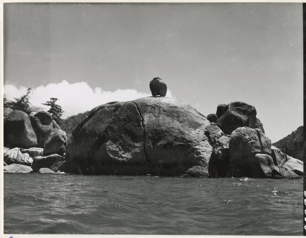 Magnetic Island Sea Eagle Nest Radical Bay