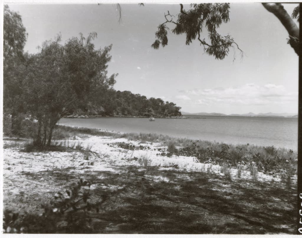 James Ross Island Beach