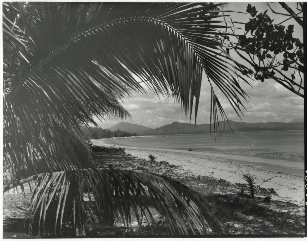 Kirk Park Beach view 3