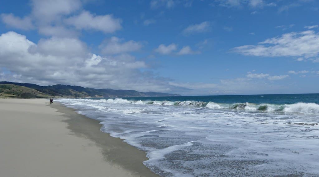 Limantour Beach