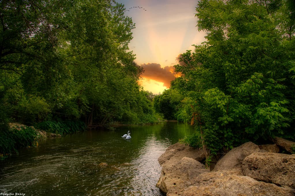 Swan Creek Beach