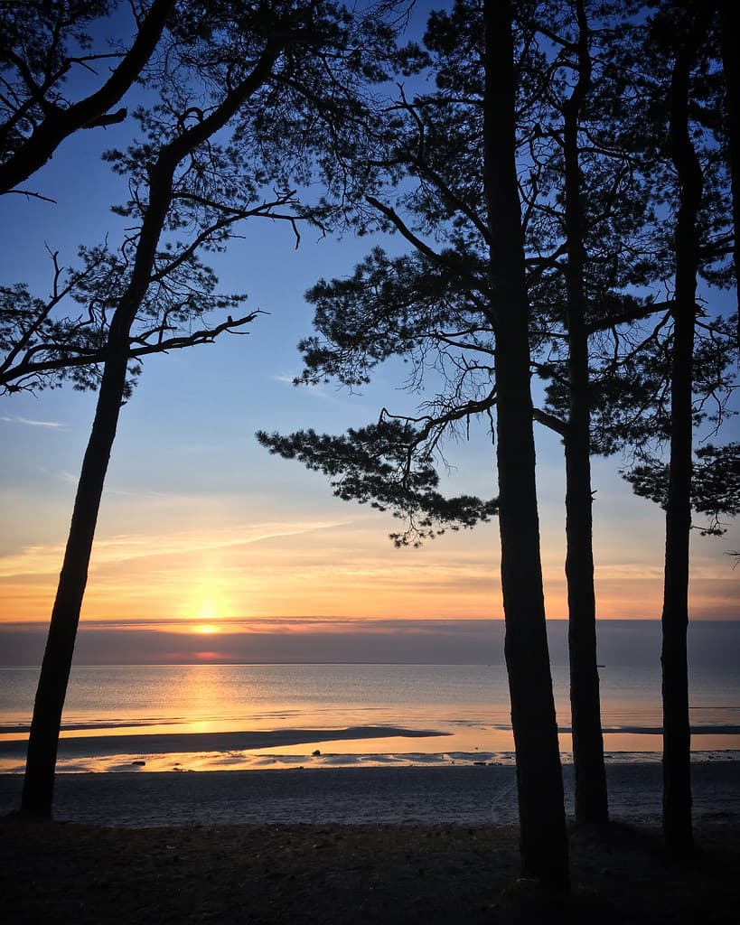 Tammneeme Beach