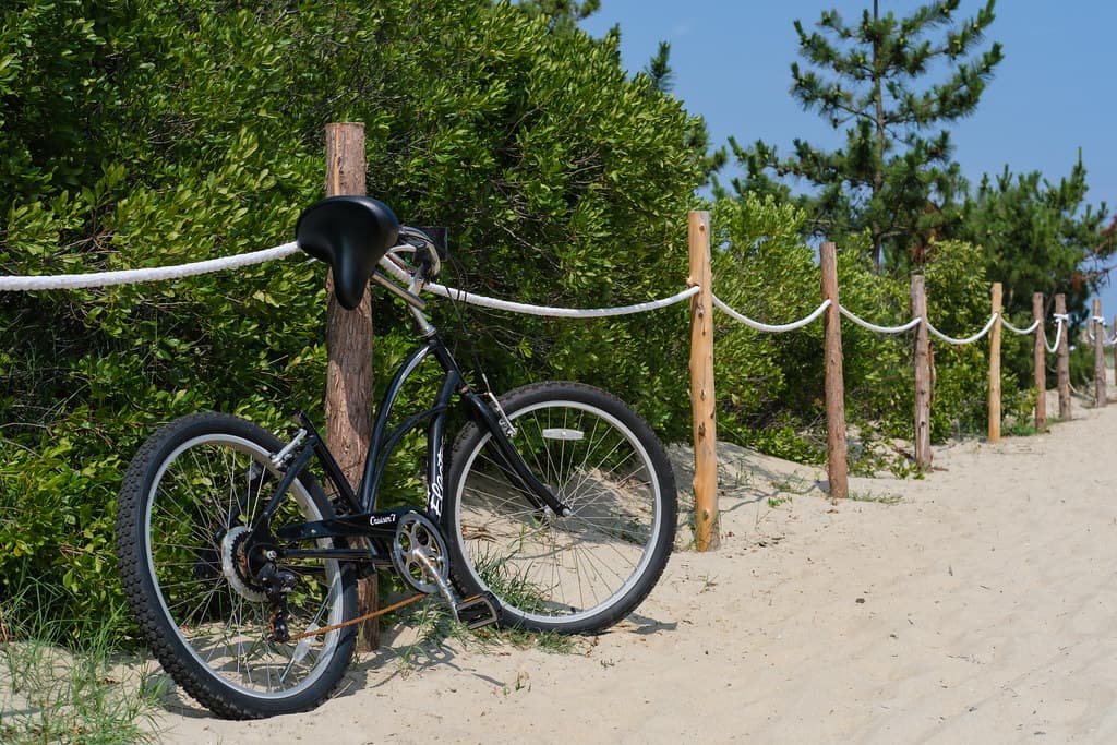 Fenwick Island State Line Beach view 3