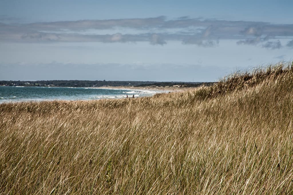 Horseneck Beach view 3